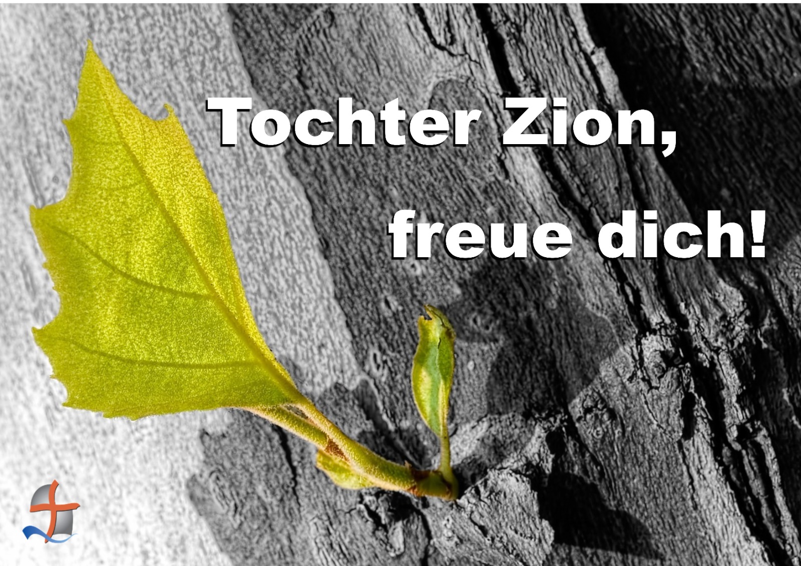 Flyer vorne
